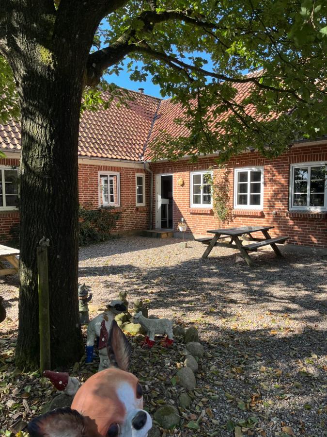 Familiehuis Boysen Bed&Breakfast Ribe Buitenkant foto