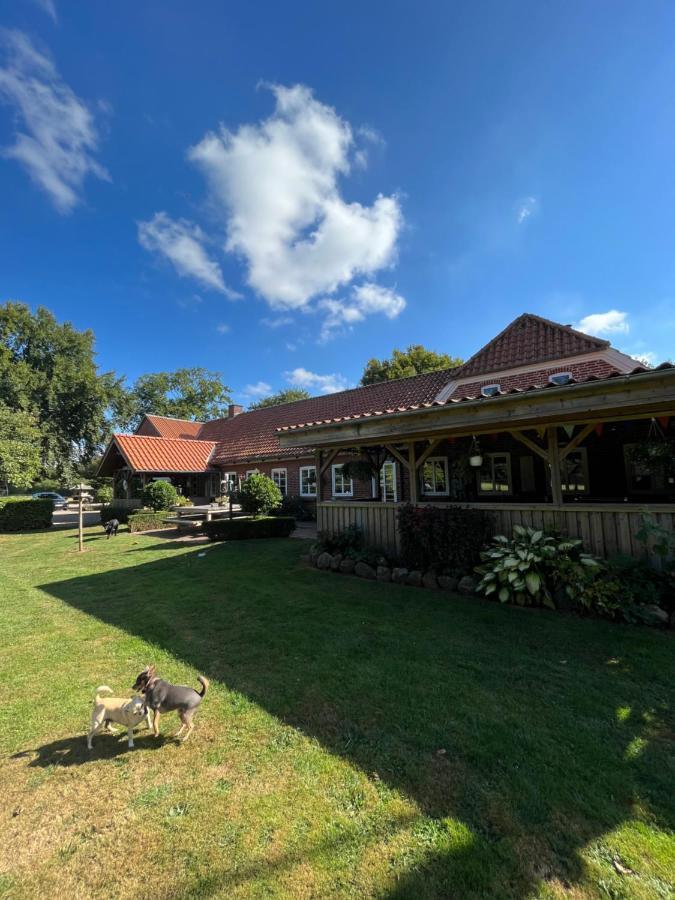 Familiehuis Boysen Bed&Breakfast Ribe Buitenkant foto