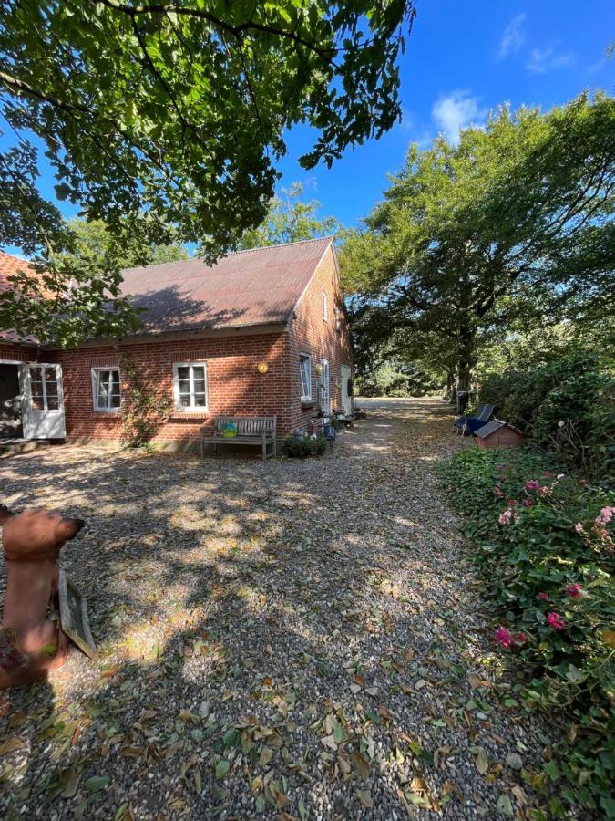 Familiehuis Boysen Bed&Breakfast Ribe Buitenkant foto